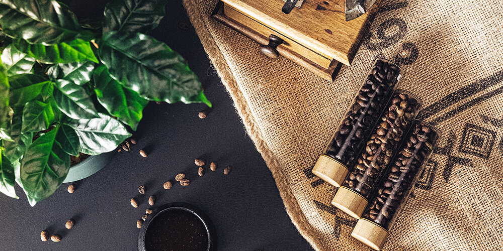 Introduction to coffee
